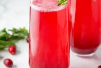 Paleo AIP Sparkling Cranberry Mocktail