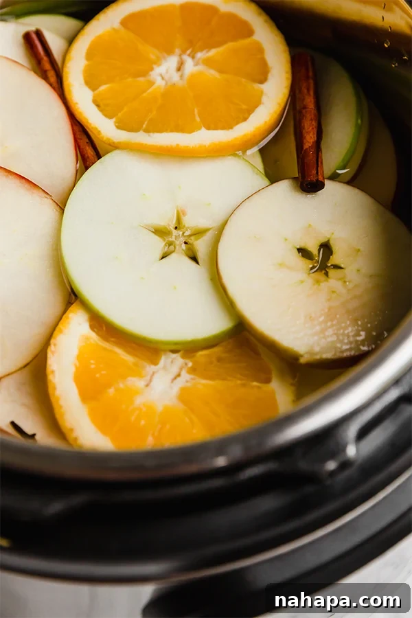 Instant Pot Apple Cider with Garnish