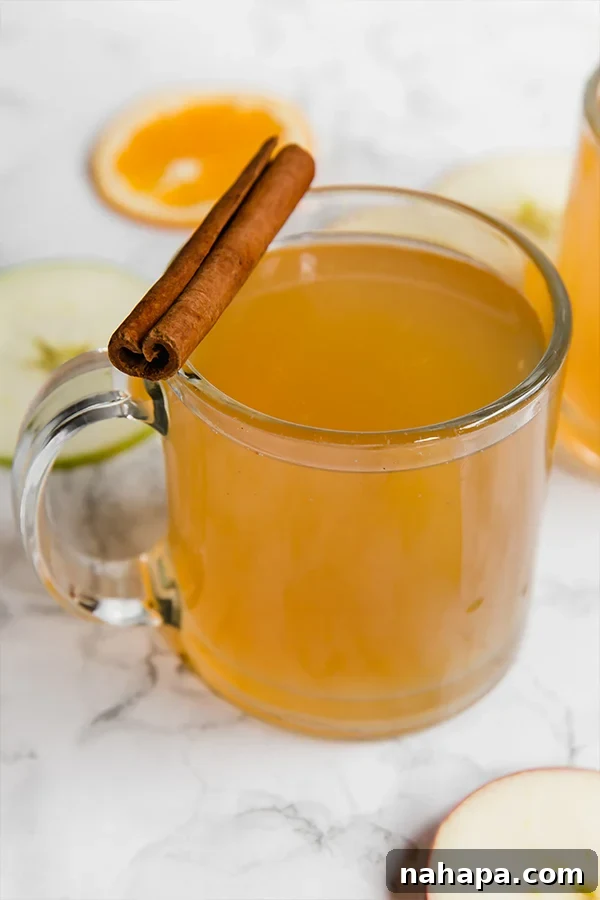 Ingredients for Instant Pot Apple Cider