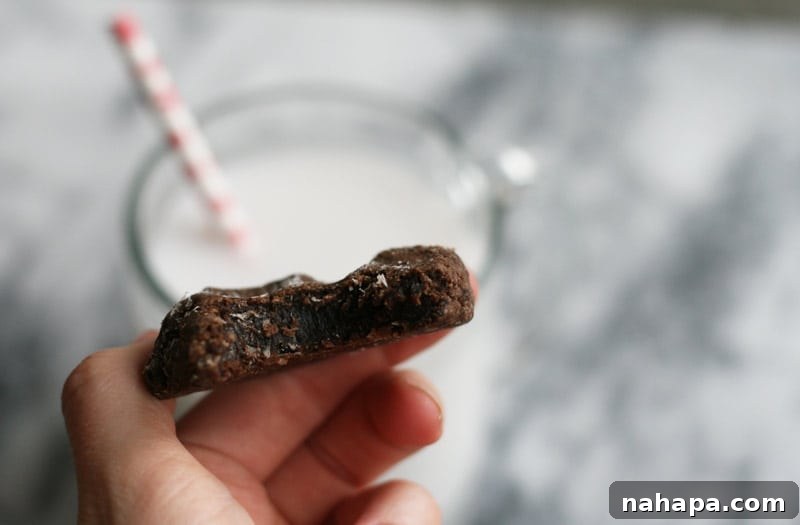 Paleo AIP Faux Chocolate Snowflake Christmas Cookies 6 Paleo AIP \