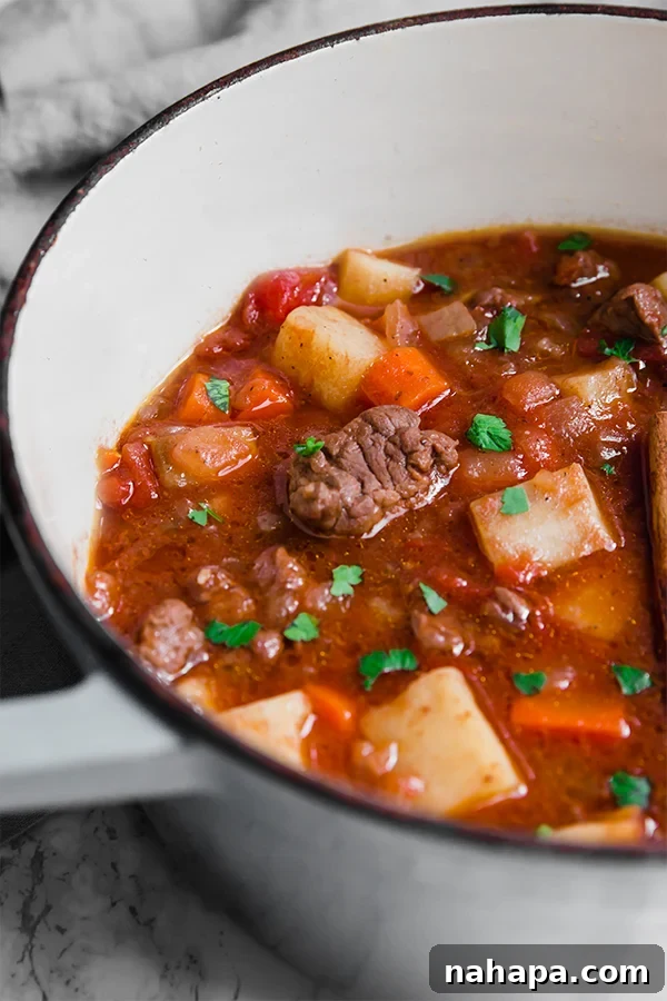 Overhead shot of a full pot of Greek Tomato Beef Stew, ready to be served.