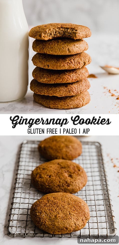 Paleo Gingersnap Cookies pin image for Pinterest, showing a stack of cookies.