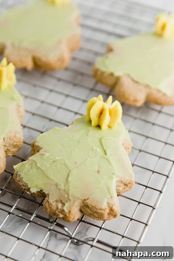 Festive Christmas cut-out sugar cookies, made Paleo and AIP-friendly, displayed as a homemade edible gift.