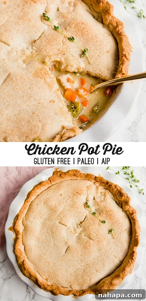 Final Chicken Pot Pie - Perfect for Healthy Eating