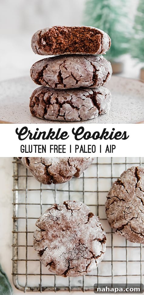 Decadent Gluten-Free Chocolate Crinkle Cookies 5 Beautifully presented Gluten-Free Chocolate Crinkle Cookies on a plate
