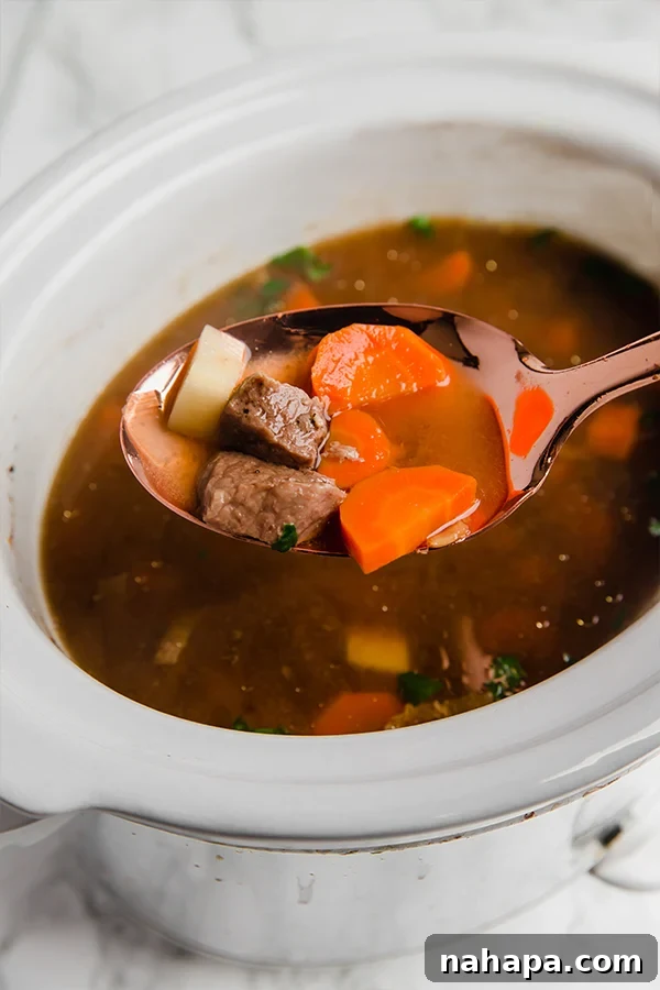 Slow Cooker Beef Stew in a serving bowl
