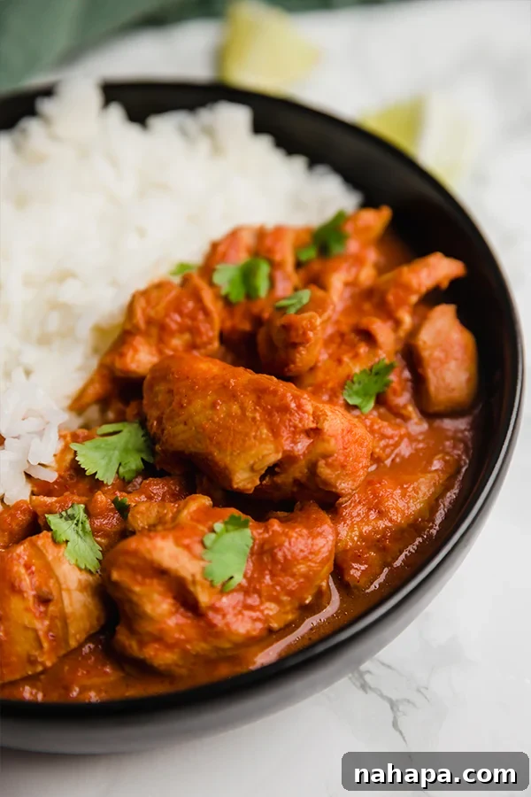 Indian Butter Chicken served with rice and cilantro