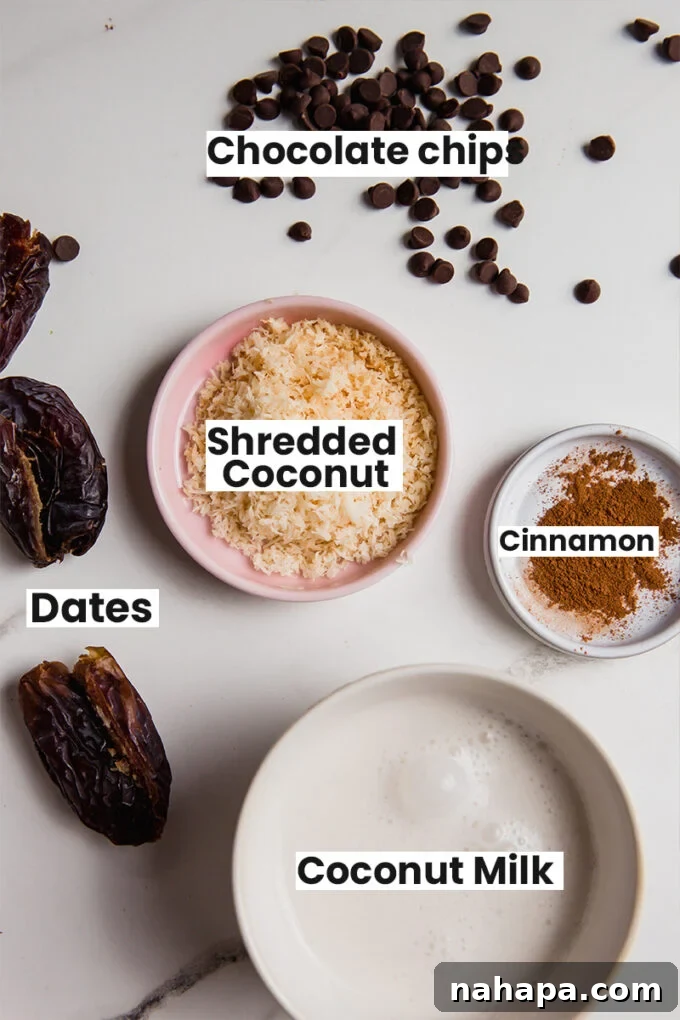 Samoa Truffle Ingredients - Dates, Coconut, Chocolate