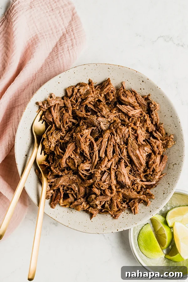 Close-up of shredded beef in a bowl, ready to be used in various dishes.
