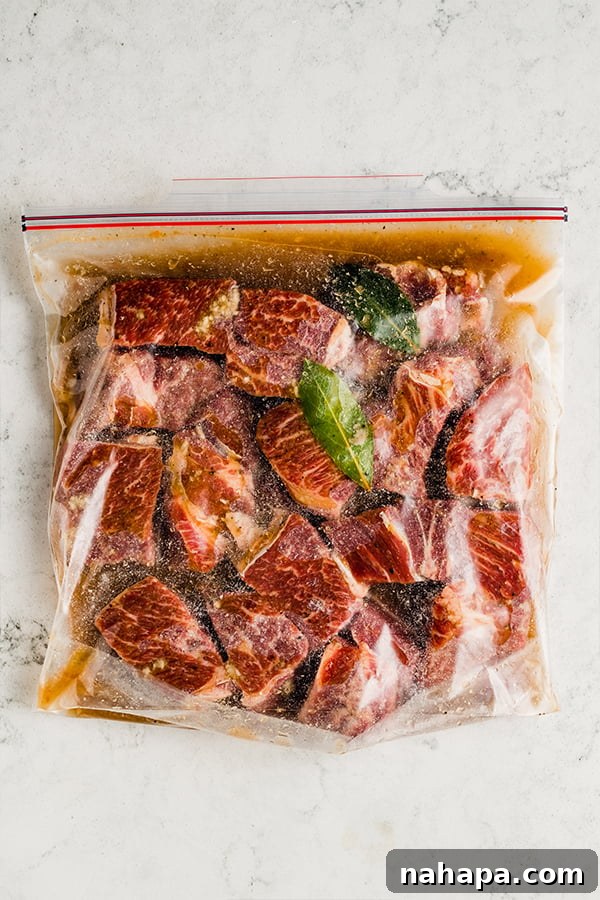 Raw beef chuck roast cut up and in a large bag with broth and bay leaves, prepared for freezing.