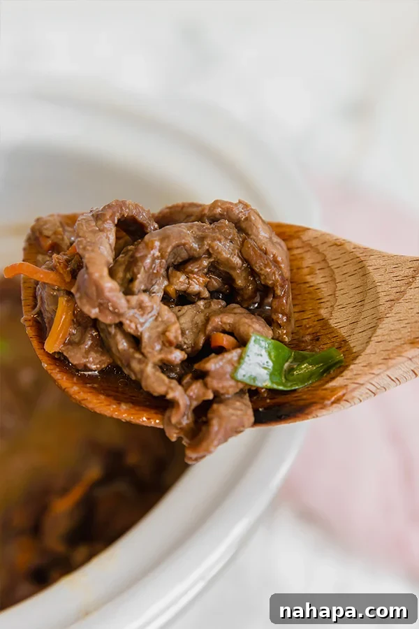 Close-up of Slow Cooker Mongolian Beef in a bowl, ready to be served.