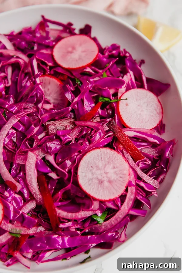 A beautifully presented bowl of purple coleslaw.