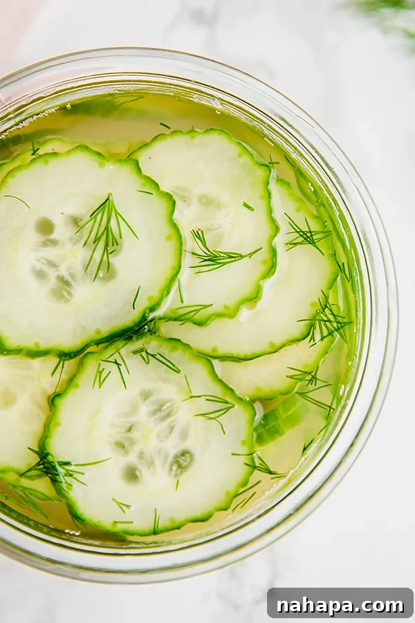 Quick Pickled Cucumbers