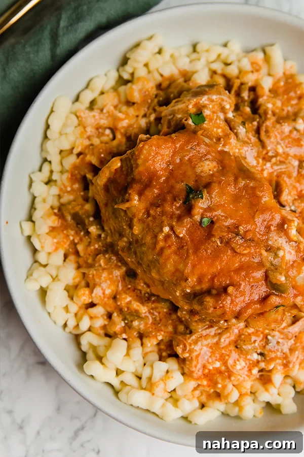 Chicken Paprikash served with noodles