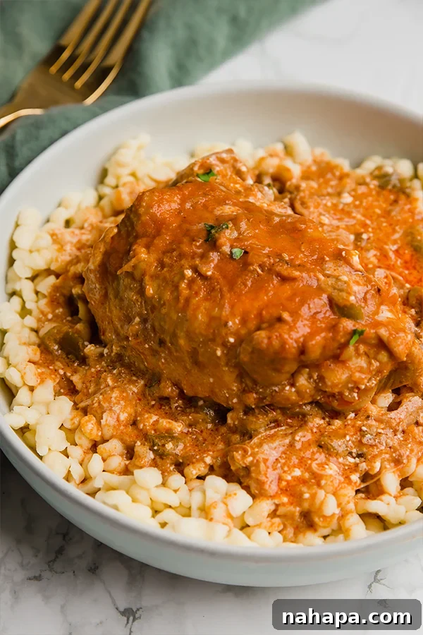 Plate of Chicken Paprikash