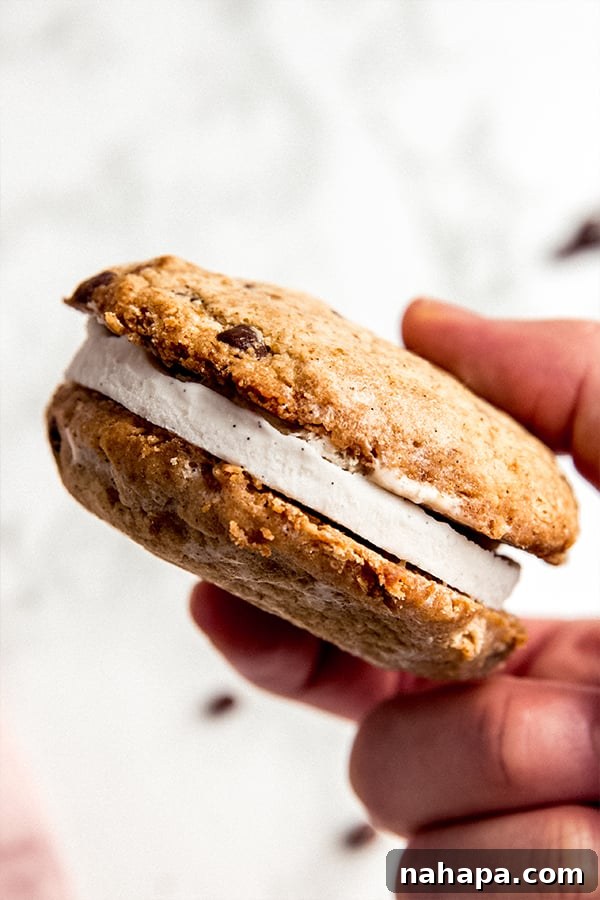 A hand holding a perfectly assembled dairy-free gluten-free ice cream sandwich, ready to be eaten