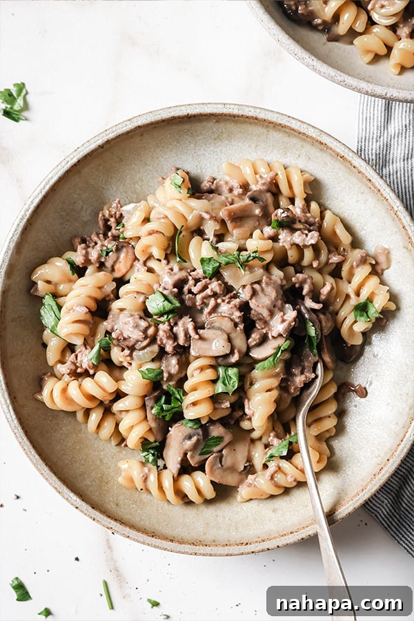 A bowl of homemade beef stroganoff ready to be enjoyed, garnished with fresh parsley.