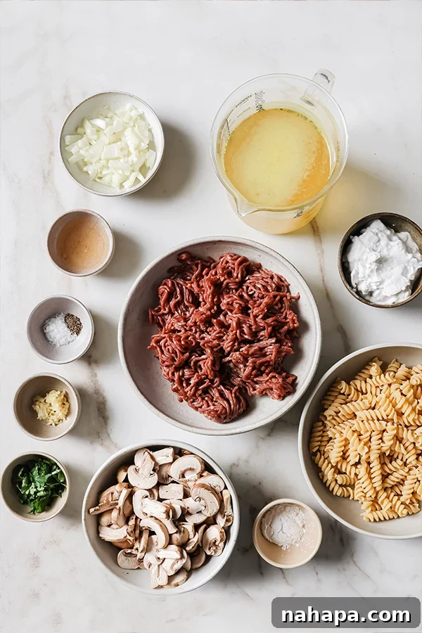 All the ingredients for homemade beef stroganoff laid out on a kitchen counter before cooking.