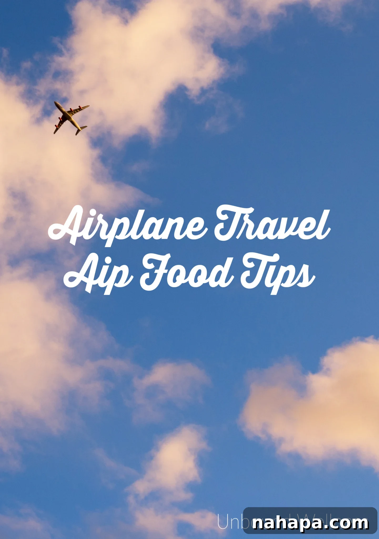 AIP Airplane Travel Food Tips - Essential guide for healthy travel.