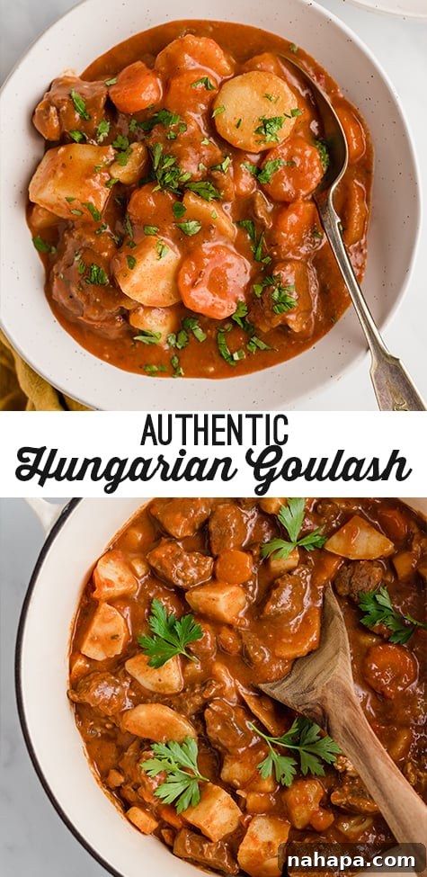 Large pin-friendly image of Hungarian Goulash for Pinterest, showing the hearty stew.