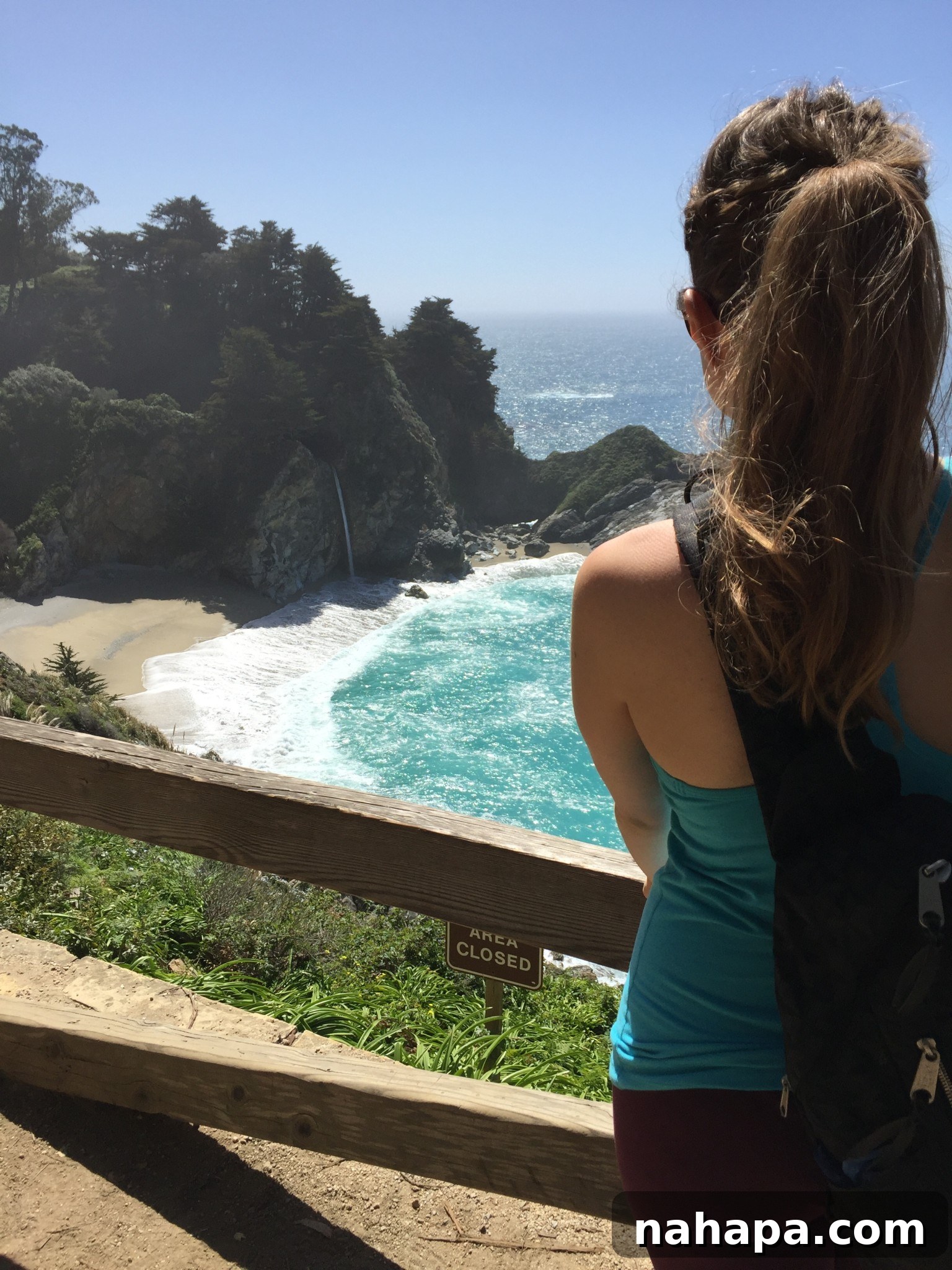 A stunning panoramic view of the Pacific coastline from Julia Pfeiffer Burns State Park, highlighting the rugged cliffs, endless ocean horizon, and the untouched beauty of the California coast.