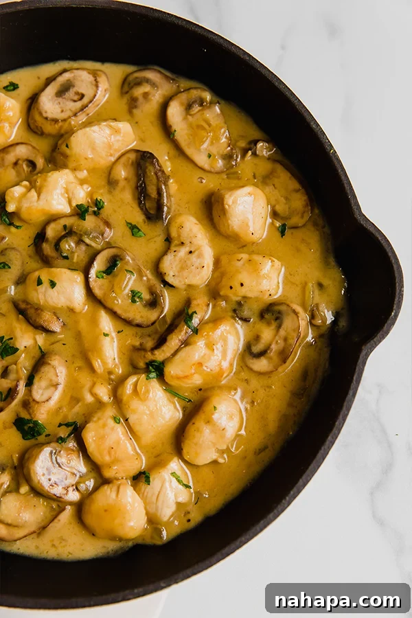 chicken stroganoff in cast iron skillet, garnished with fresh parsley