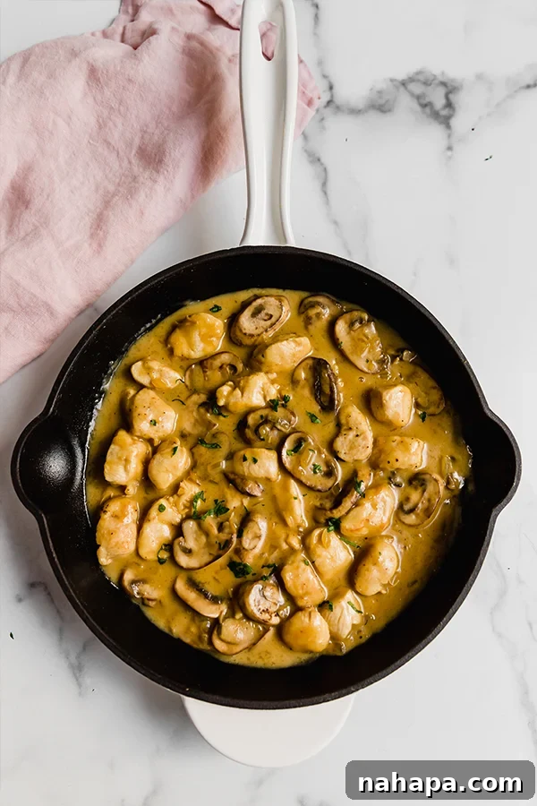 chicken stroganoff in skillet, ready to be served