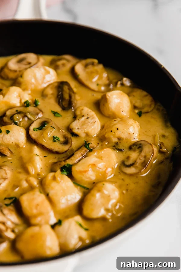 chicken stroganoff in skillet, served on a plate