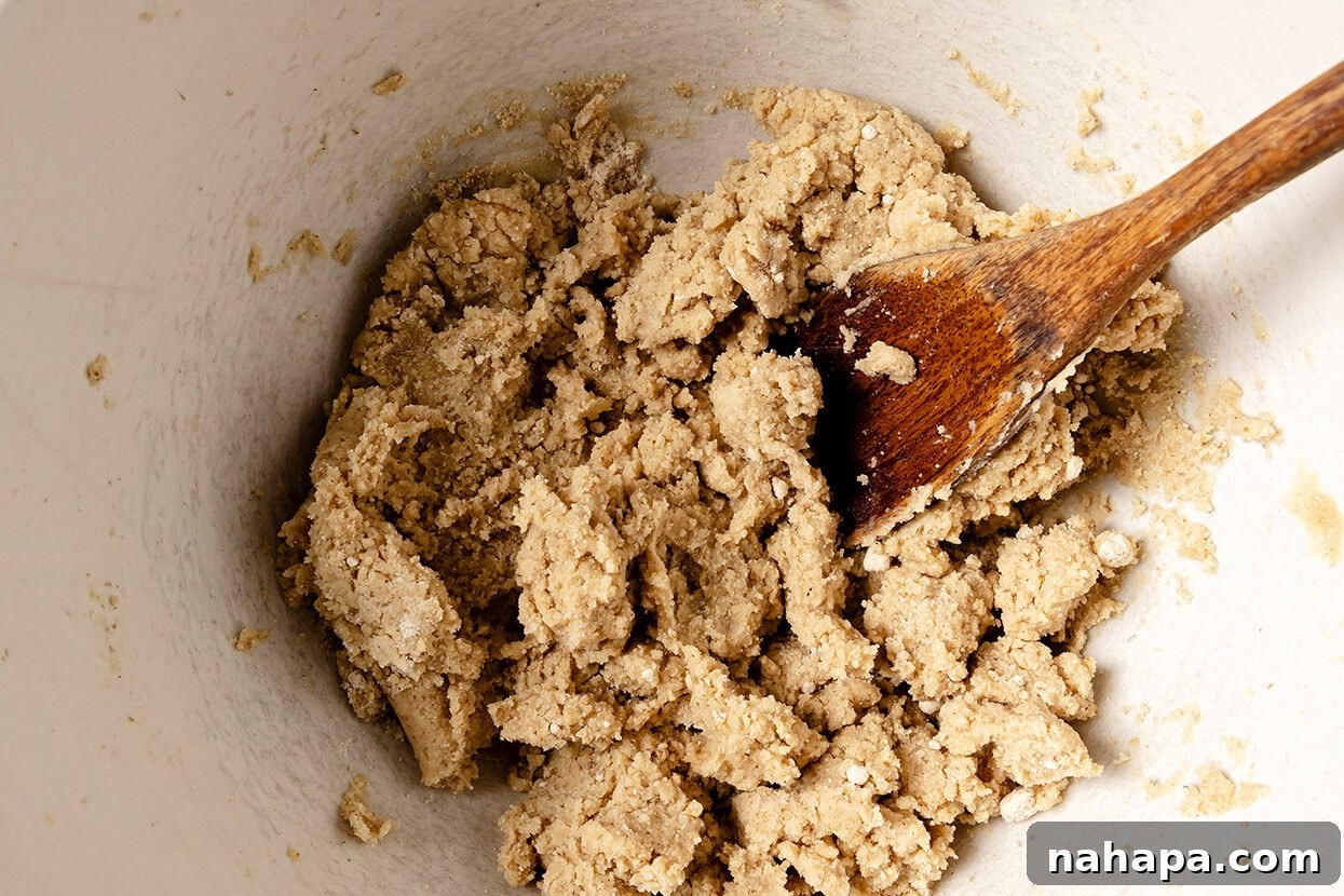 The snickerdoodle cookie dough after being mixed, showing a cohesive, soft texture.