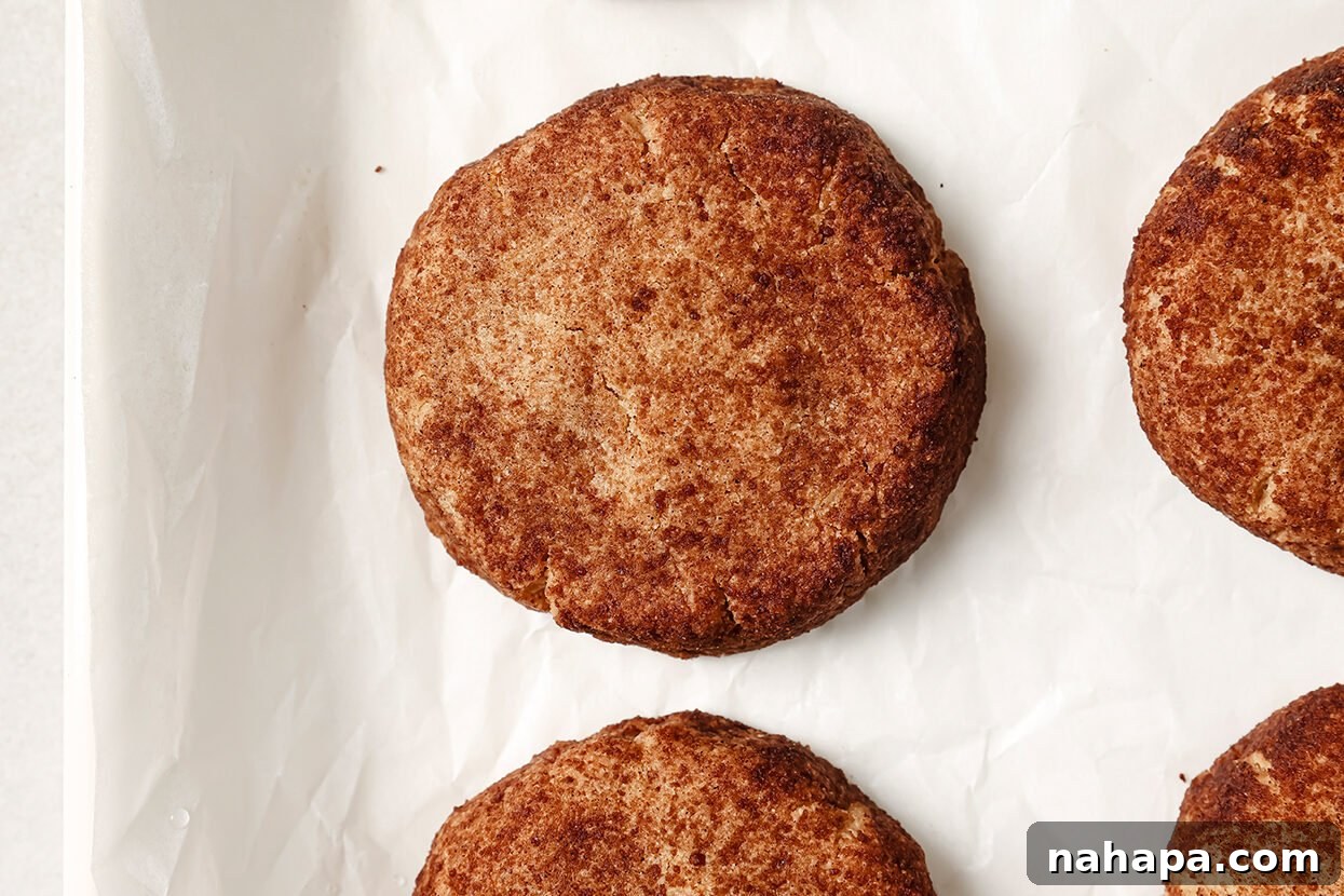 The baked snickerdoodle cookies, golden brown and perfectly crinkled, cooling on the baking sheet.
