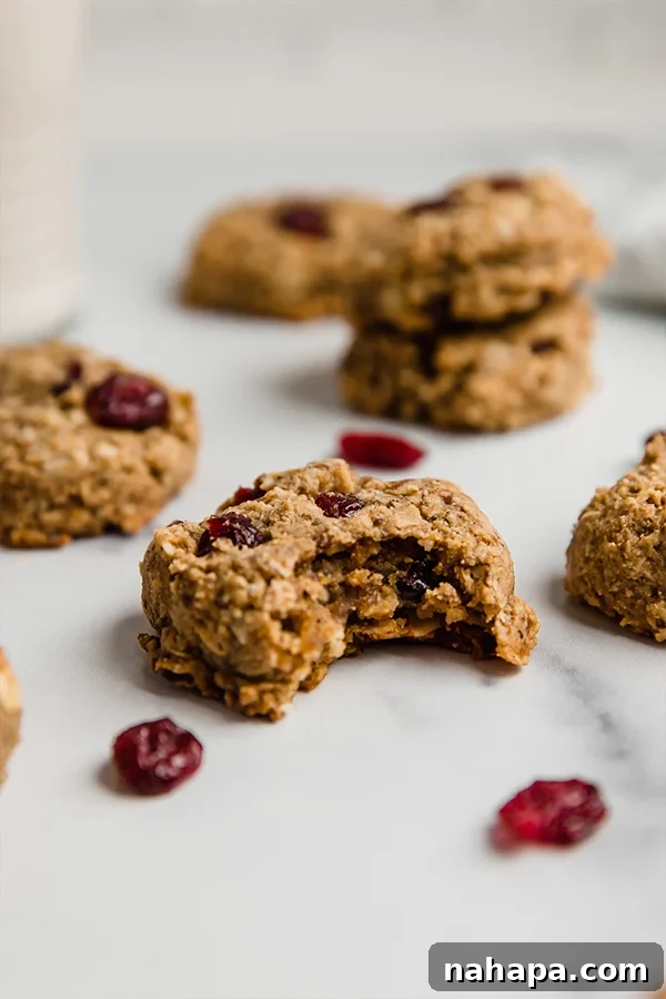 Cranberry Oat Delights 4 Close-up of an Oatmeal Cranberry Cookie with a bite taken out, showing its chewy texture.