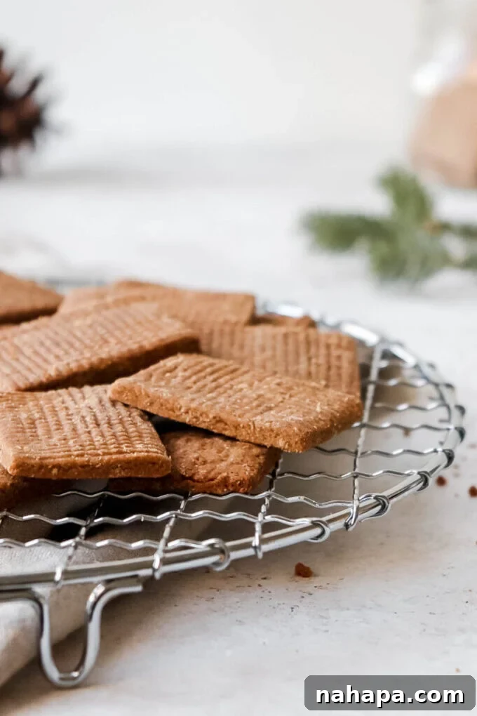 AIP speculaas cookies cooling on a wire rack, ready for cookie butter