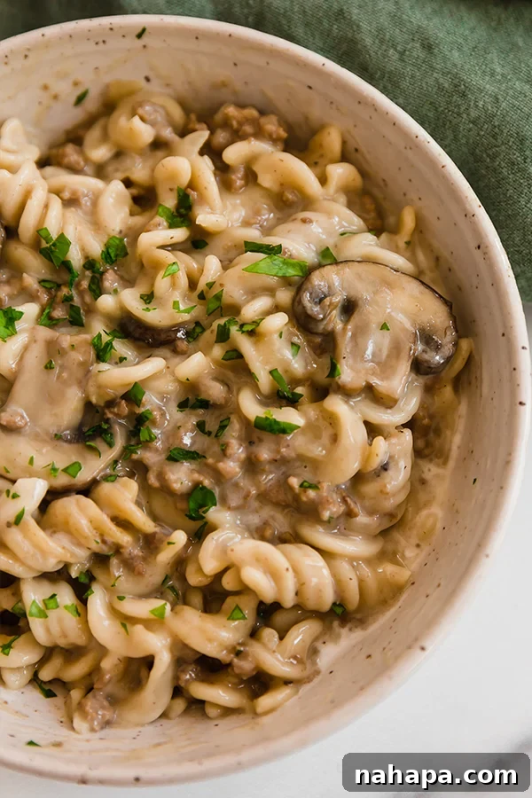 A hearty bowl of homemade beef stroganoff hamburger helper, creamy and rich, ready to enjoy
