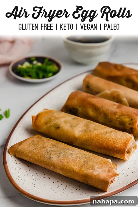 Air fryer egg roll pin image