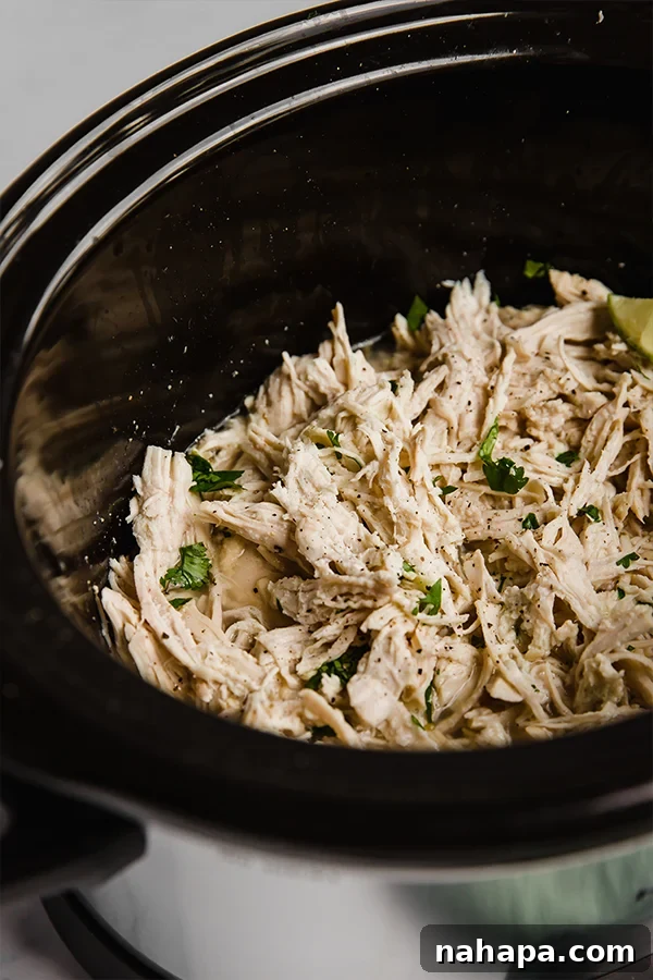 Cilantro lime chicken simmering in a slow cooker