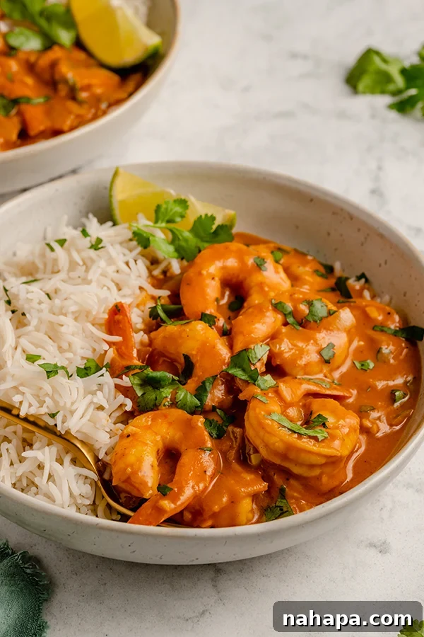 shrimp curry in a bowl with rice