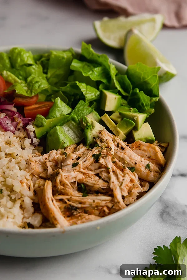 Burrito bowl assembled and ready to eat