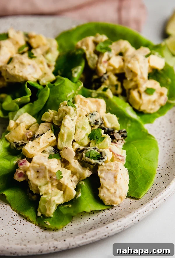 Compliant Yogurt Curry Chicken Salad 5 The finished Yogurt Curry Chicken Salad, perfectly mixed and served in butter lettuce cups on a white plate, garnished with fresh cilantro.