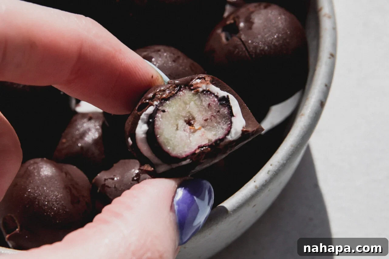 Frozen yogurt and chocolate blueberries in a bowl, with one halved from a bite.