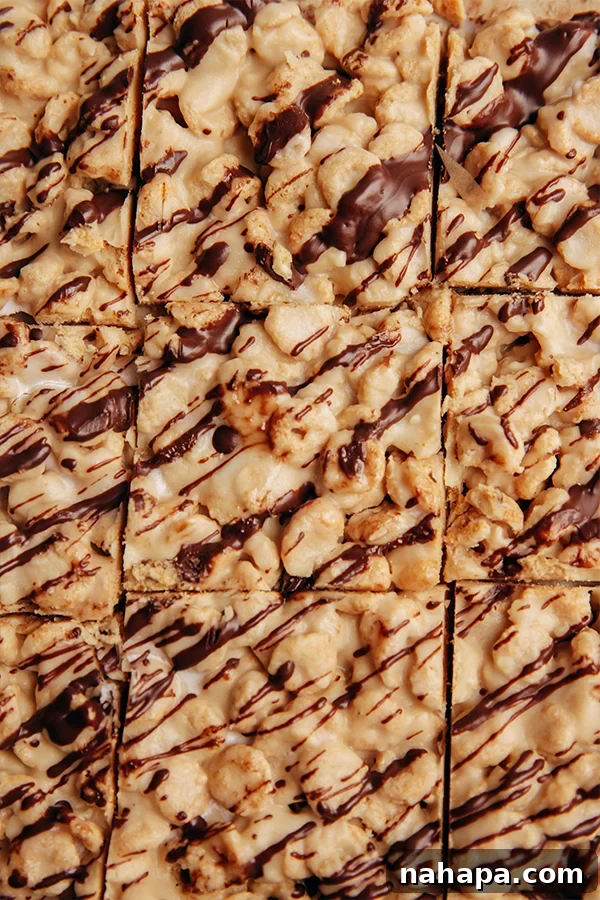 Close-up image of the finished Paleo and AIP cereal bars, cut into perfect squares, with chocolate drizzle visible