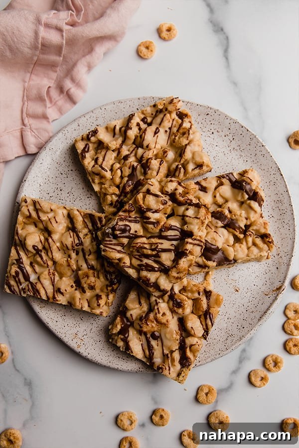 Paleo and AIP Cereal Bars with chocolate drizzle on a plate, ready to be eaten