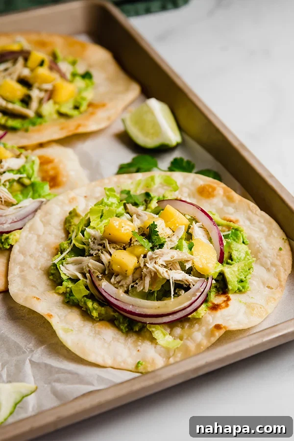 Tropical Paleo AIP Mango Chicken Tostadas 5 Finished Mango Chicken Tostadas beautifully arranged on a pan, garnished with fresh cilantro