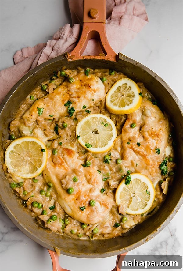 Bright Lemon Chicken Orzo Single Skillet Compliant Dish 3 Cooked lemon chicken with orzo, zucchini, and artichokes in a pan, showcasing the creamy sauce and vibrant colors