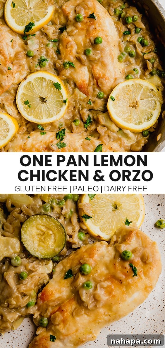 Bright Lemon Chicken Orzo Single Skillet Compliant Dish 5 Overhead view of a beautifully cooked one-pan lemon chicken with orzo, showcasing plentiful chicken pieces, tender orzo, and colorful vegetables, ready to be served
