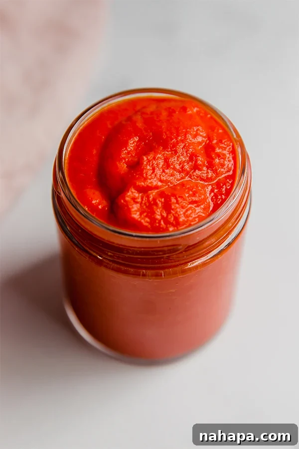 AIP Approved Ketchup 3 A bowl of red AIP ketchup with a spoon on a wooden surface, ready to serve.