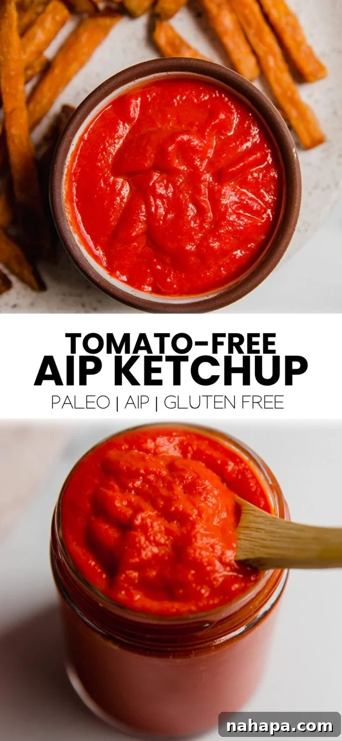 AIP Approved Ketchup 6 A collection of AIP-friendly sauces: tomato-free ketchup, nightshade-free marinara, and avocado cilantro lime sauce.