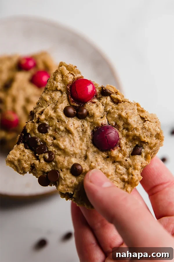 Monster Cookie Oatmeal Breakfast Bar in hand