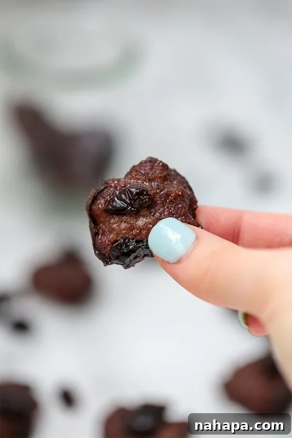 Smart Snacking 10 Quick Portable Bites 4 Oven-Baked Cranberry Beef Jerky Bites (Paleo, Whole30, AIP)