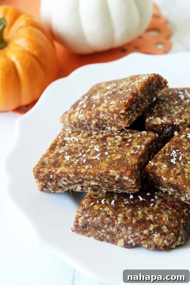 Smart Snacking 10 Quick Portable Bites 5 Paleo Pumpkin Energy Bars (Grain-Free, Whole30, AIP modifiable)