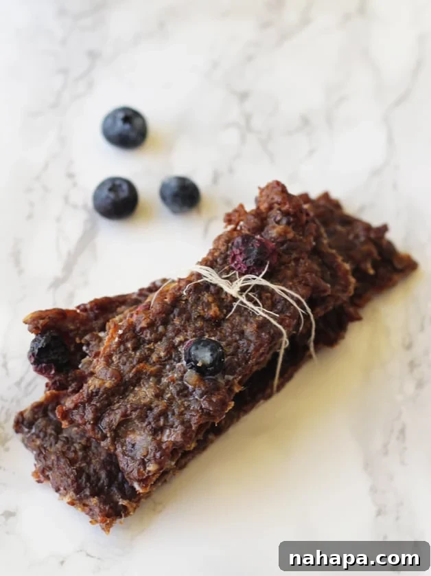 Smart Snacking 10 Quick Portable Bites 7 Homemade Blueberry Beef Jerky (Paleo, AIP, Whole30)